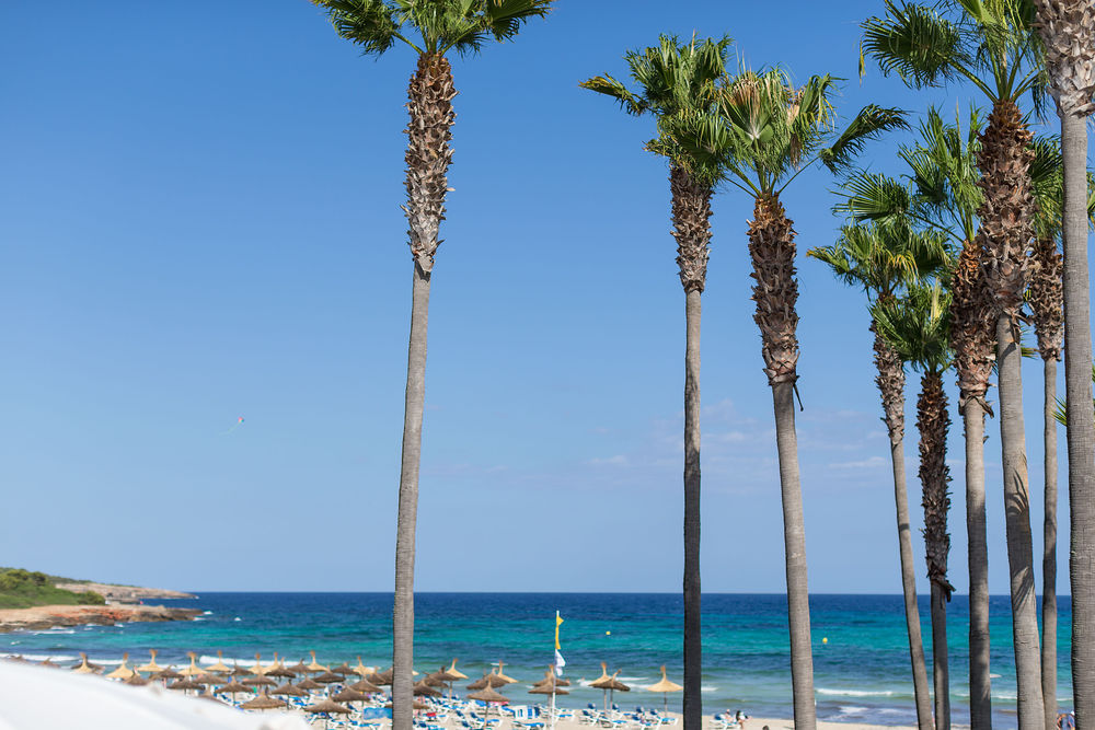 Thb Platja Hotel 4*
